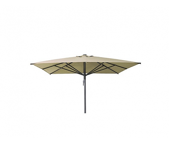 BHO 1511-U1 parasol