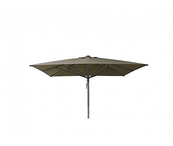 BHO 1511-U1 parasol