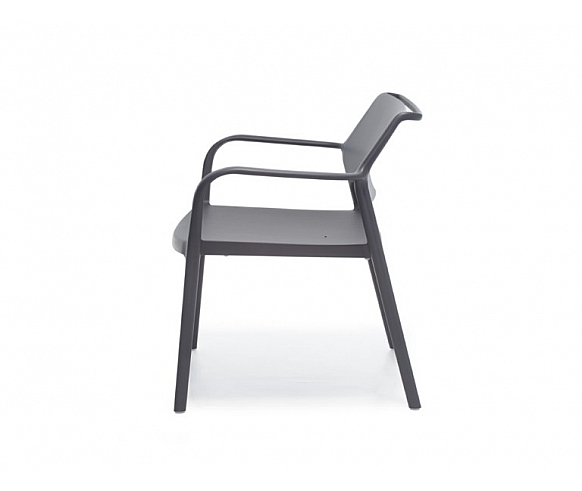 Ara 316 lounge chair