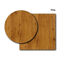 Werzalit 120x80 ST table top