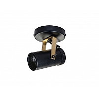 Scope 1 spot light