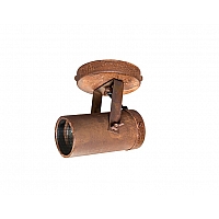 Scope 1 spot light