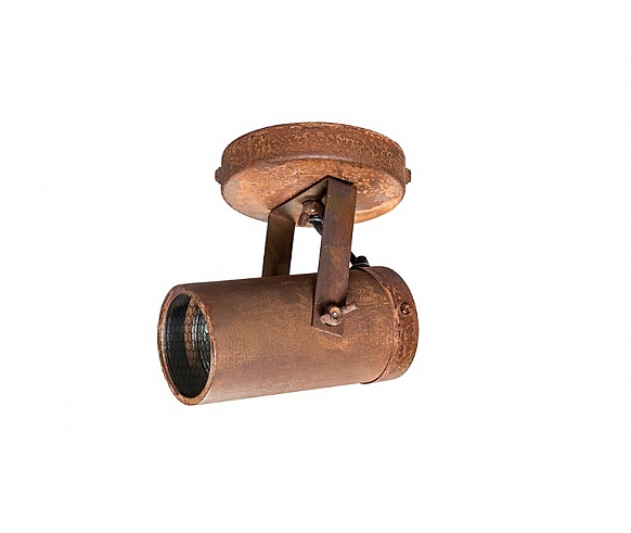 Scope 1 spot light
