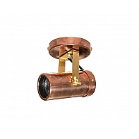 Scope 1 spot light
