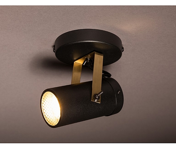 Scope 1 spot light