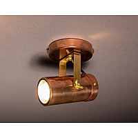 Scope 1 spot light
