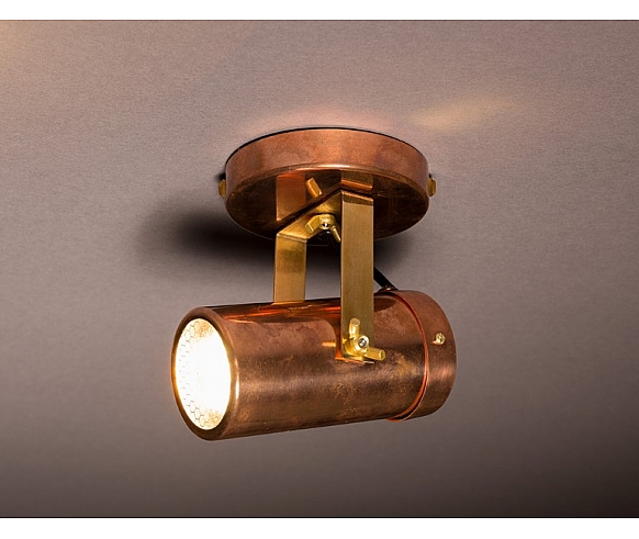 Scope 1 spot light