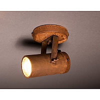 Scope 1 spot light