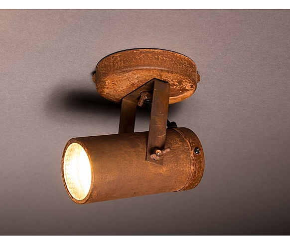 Scope 1 spot light